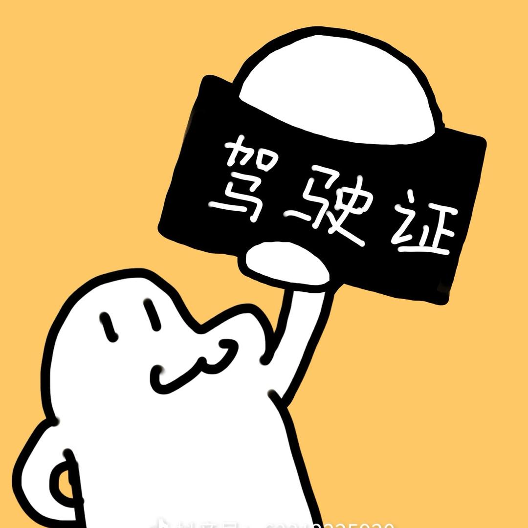 重生之我在驾校当牛马—杨教