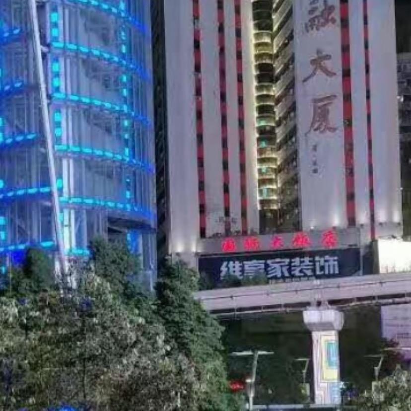 Y A N G杨