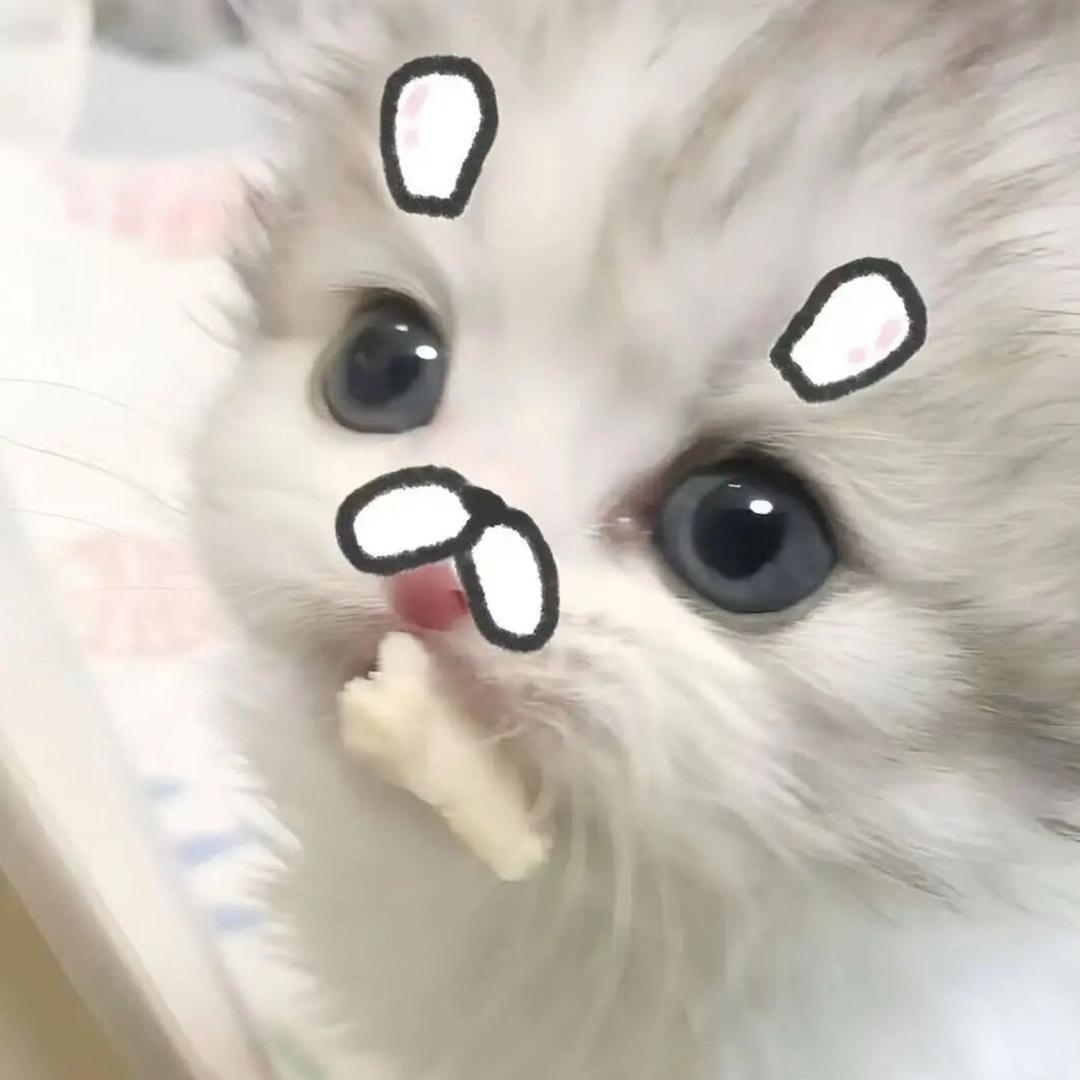 纯 情 小 妈.