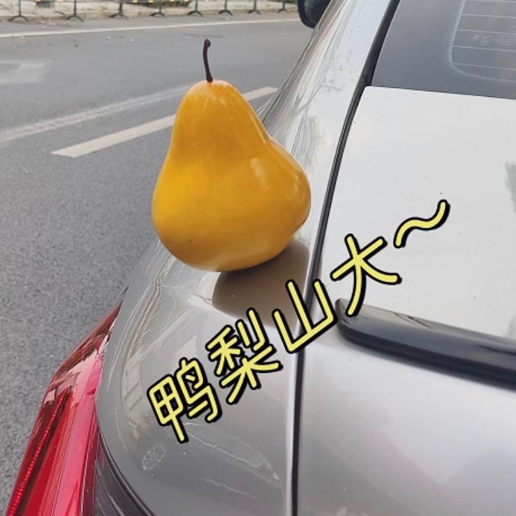 燕姐选好物