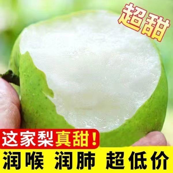 百年砀山酥梨