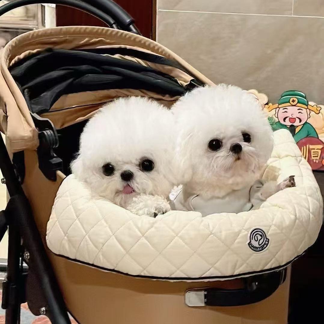 成都·慕梵希宠物会馆