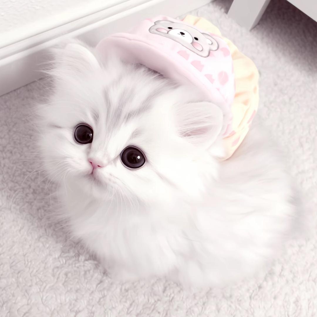 曼q