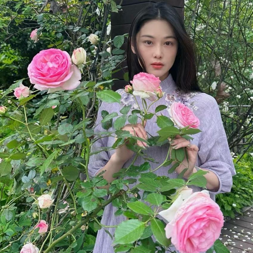 小苒