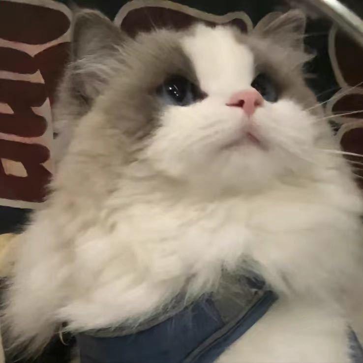 惹啊！小焰又活一天！