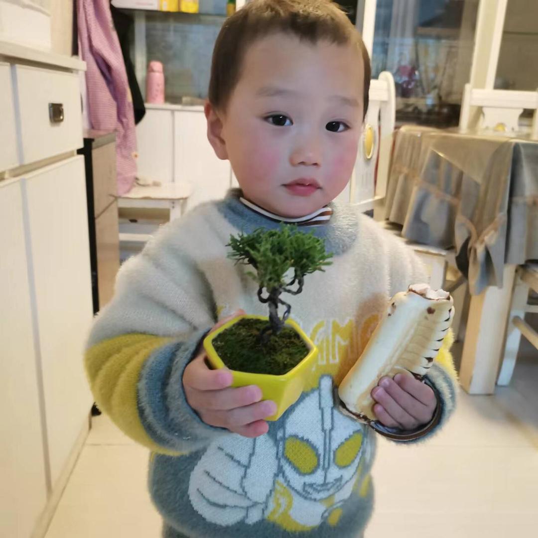 松鑫盆景园