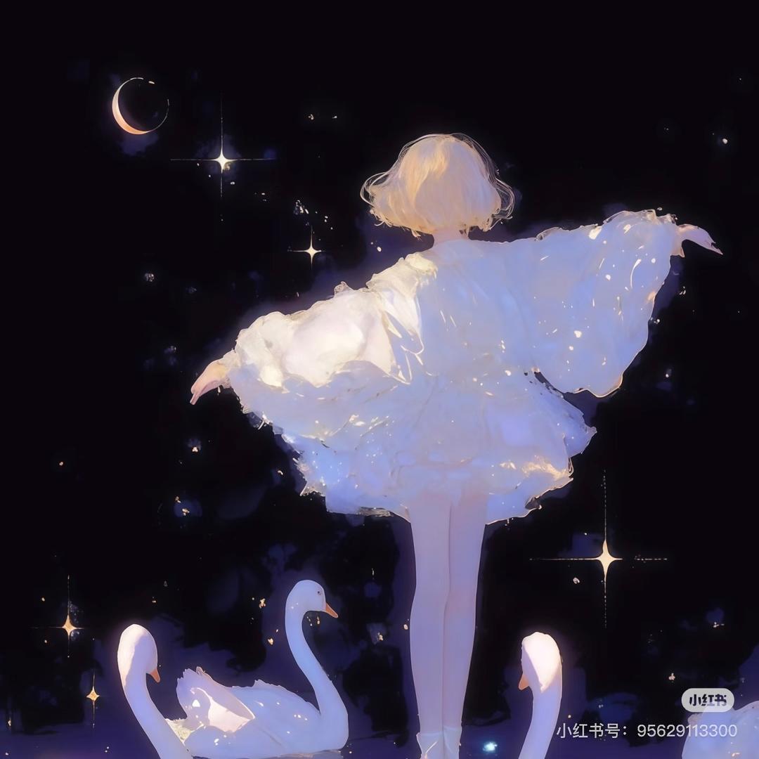 听过空境的回音