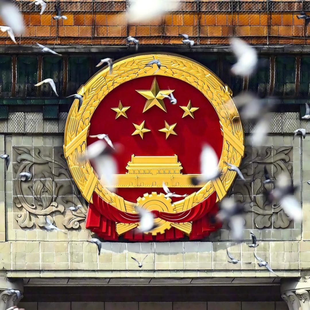 小蚊子