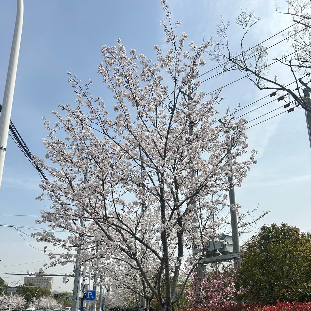 昊涵