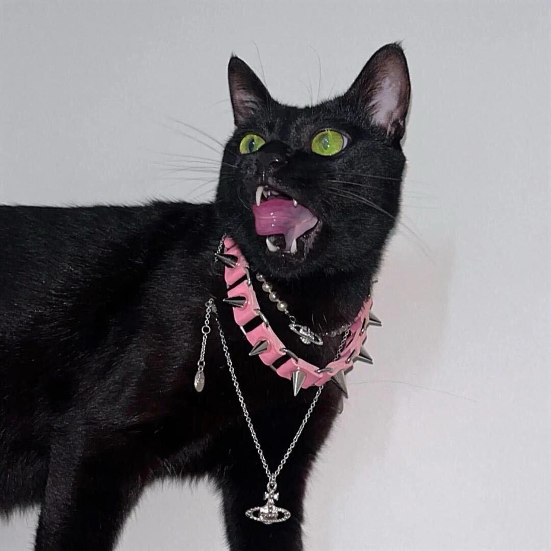 🐈‍⬛（喝酒版）