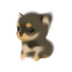 Achi