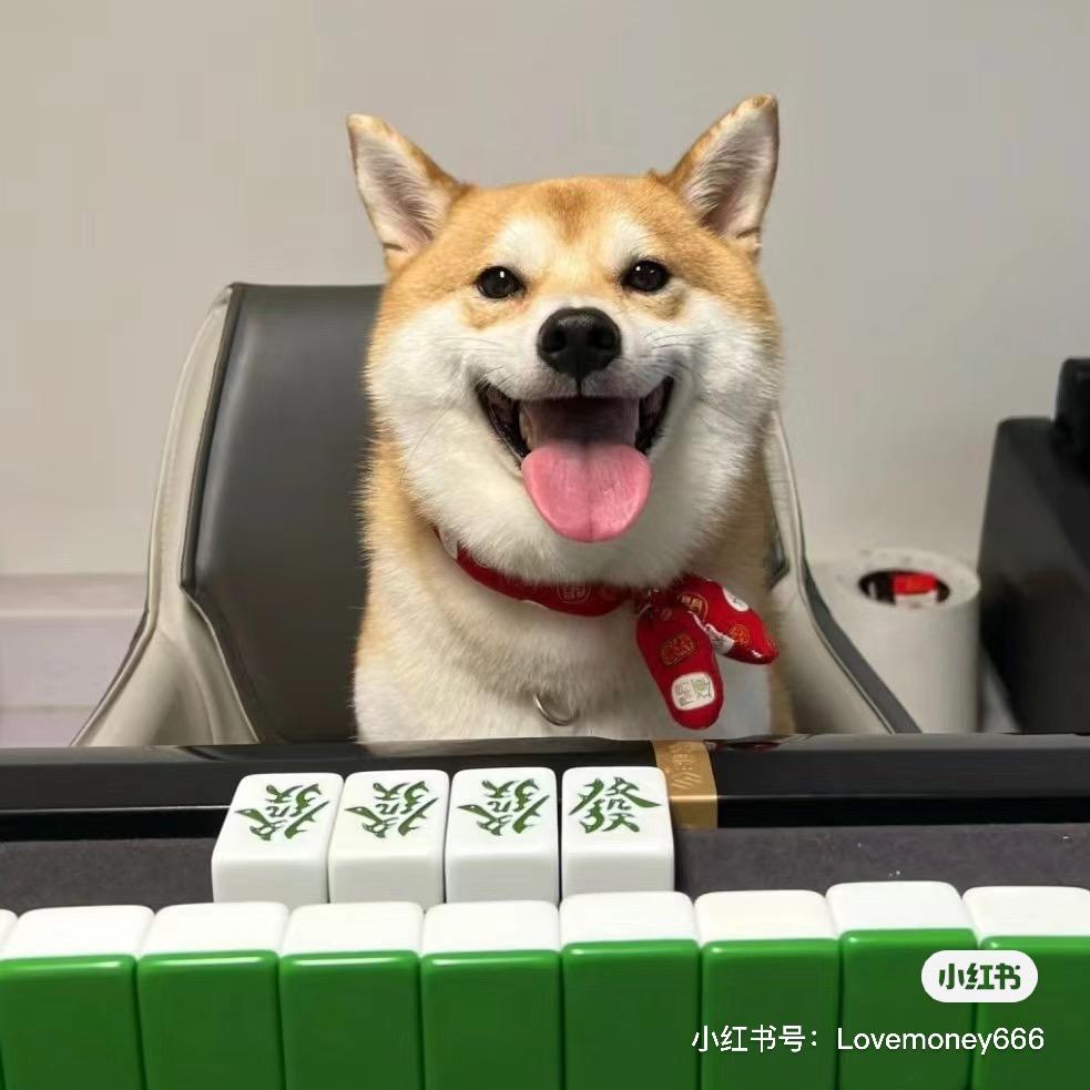 某某某