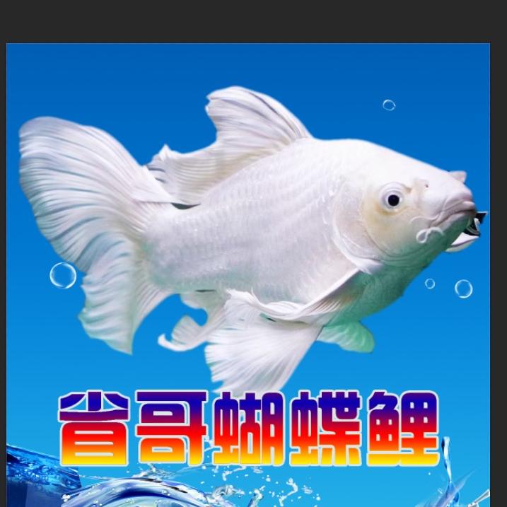 咕噜咕噜水族馆