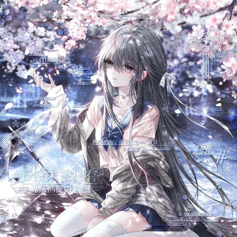 卷欣菜