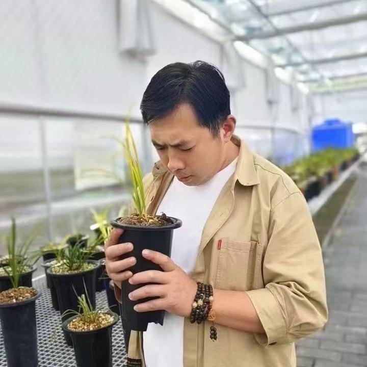 写兰圣手（幽兰堂主）
