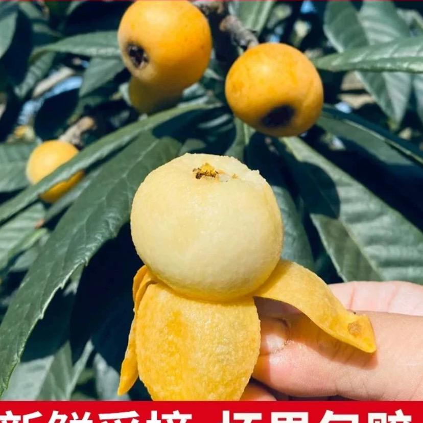 福源生鲜铺零售店