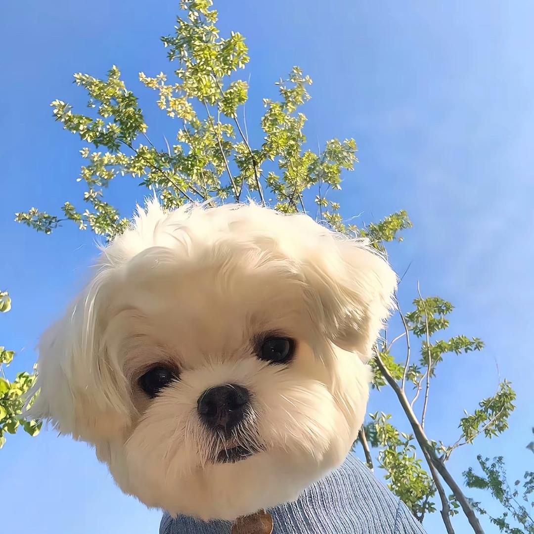 暖一杯茶