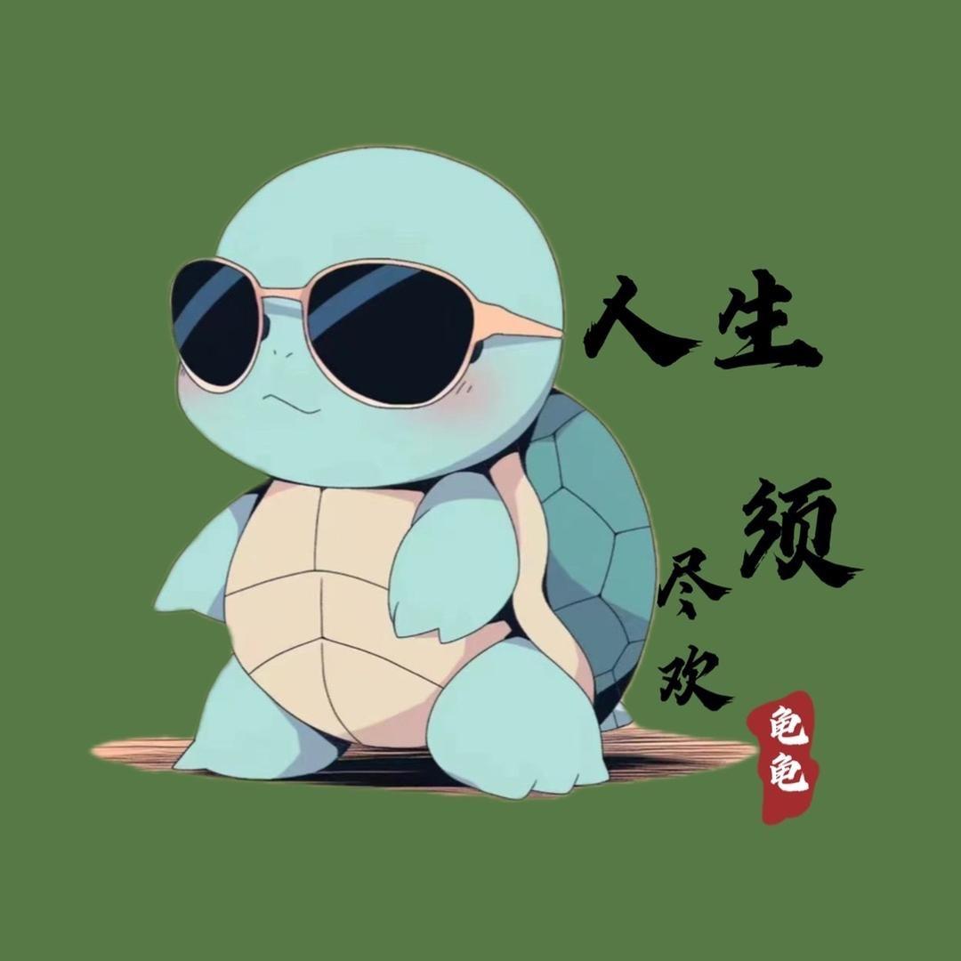 阿东哥爱养龟🐢