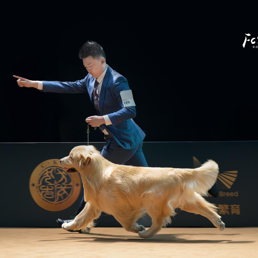 柳健
