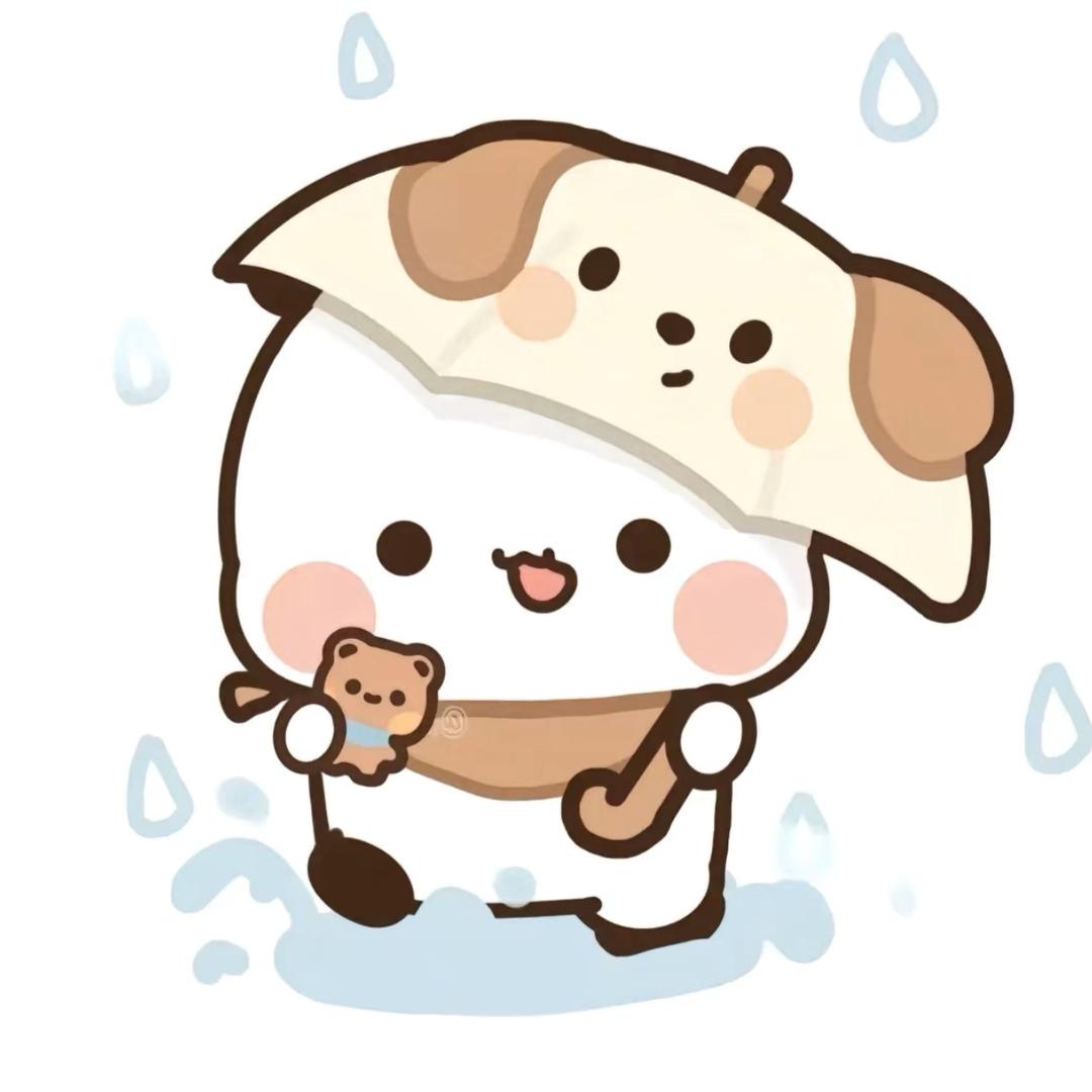 小宝君