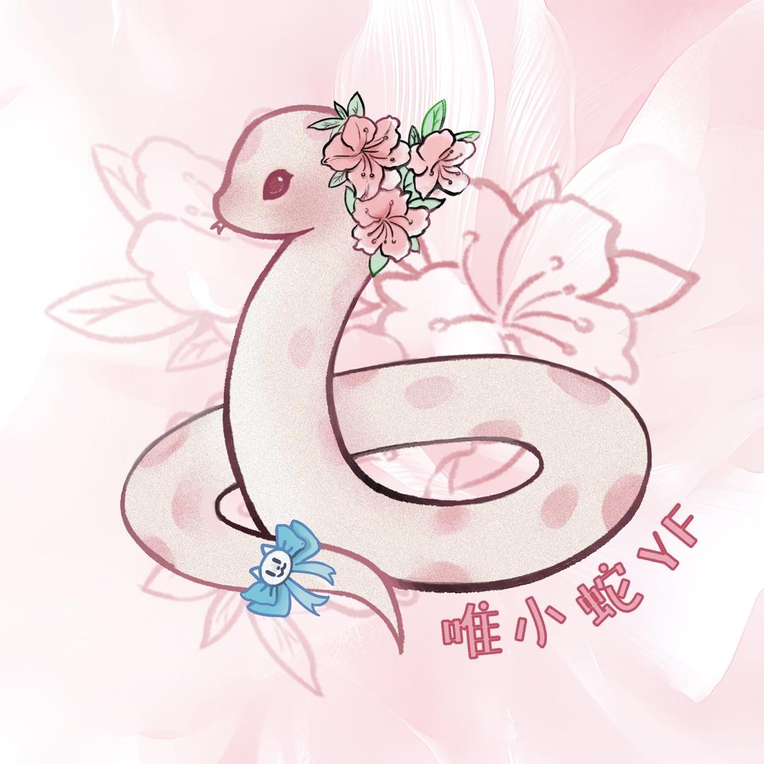 唯小蛇.Scice