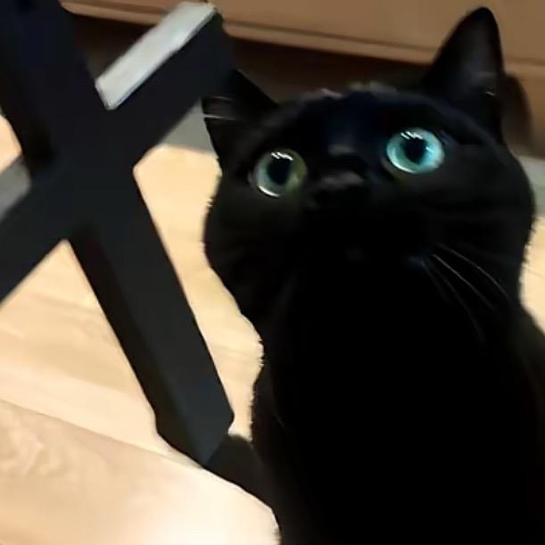 𝙏𝙨𝙪𝙠𝙞