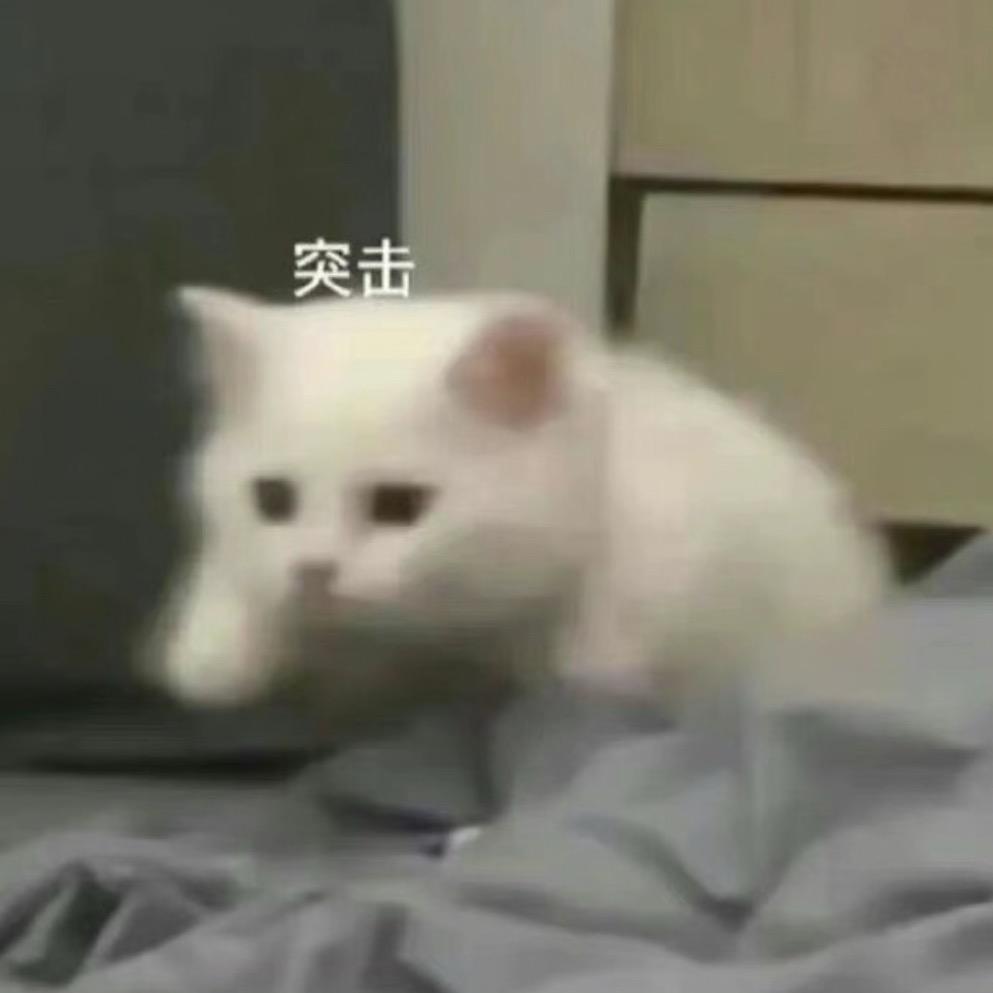 想再多吃一点