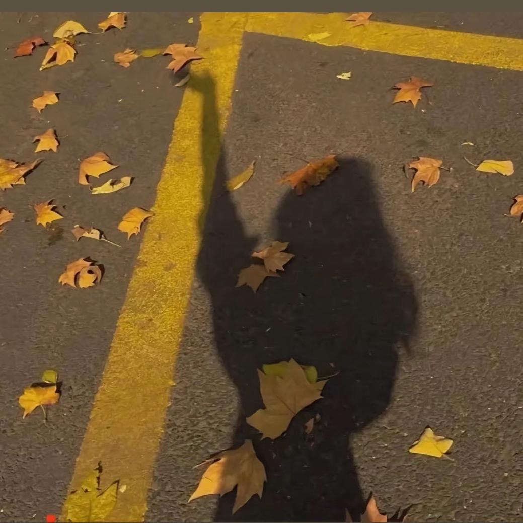 鱿鱼🦑徐