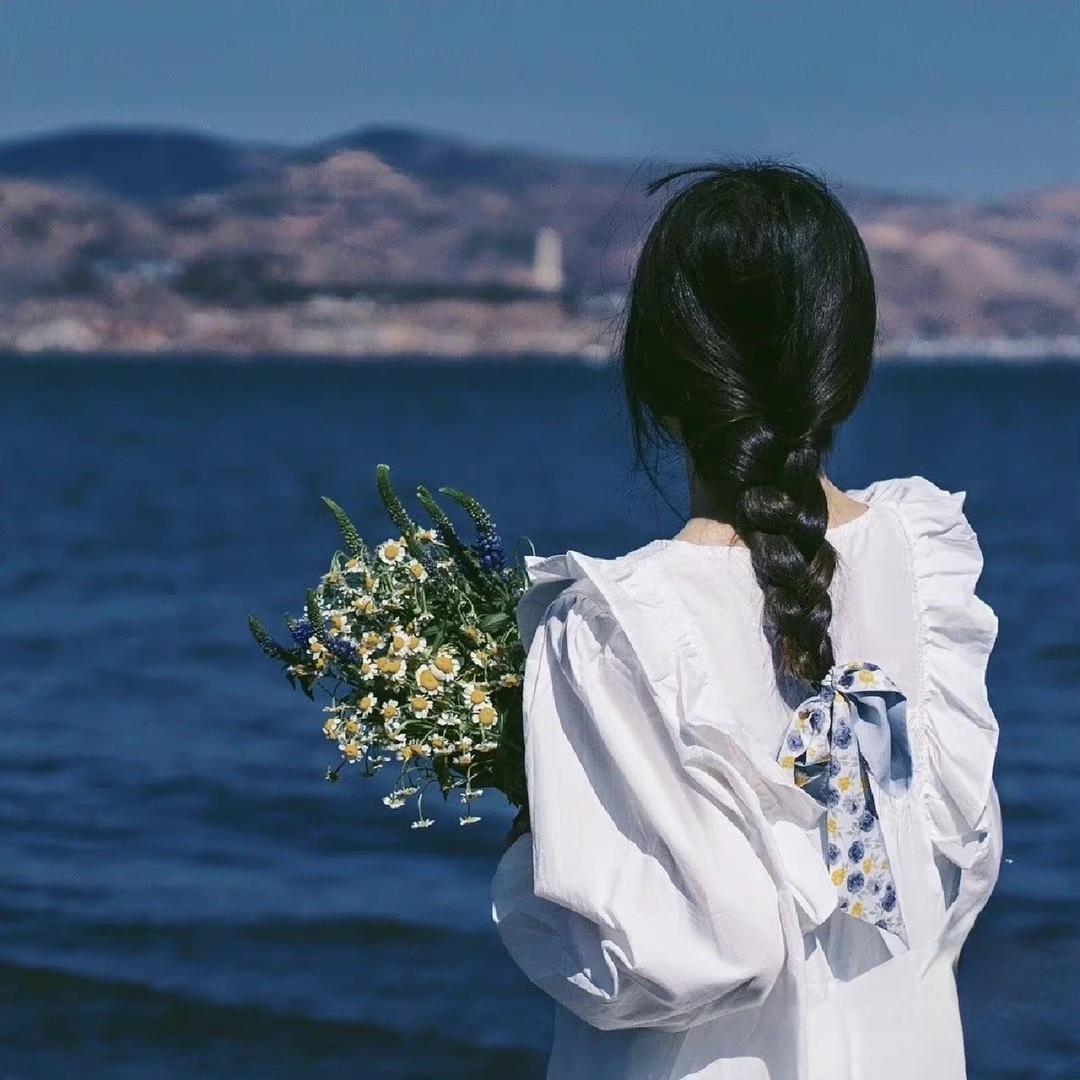太阳花🌻