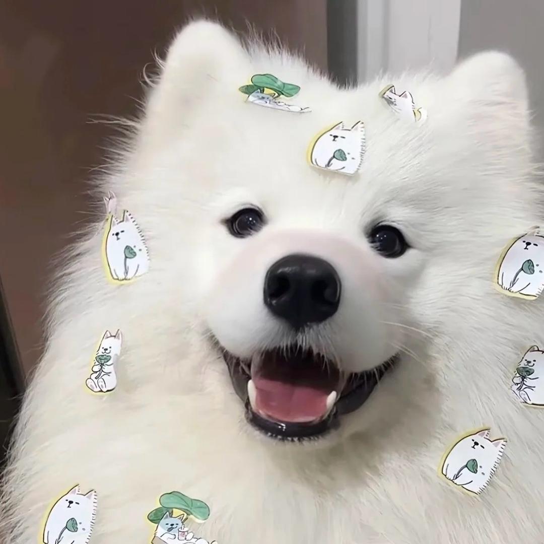 颖上黄金首饰回收