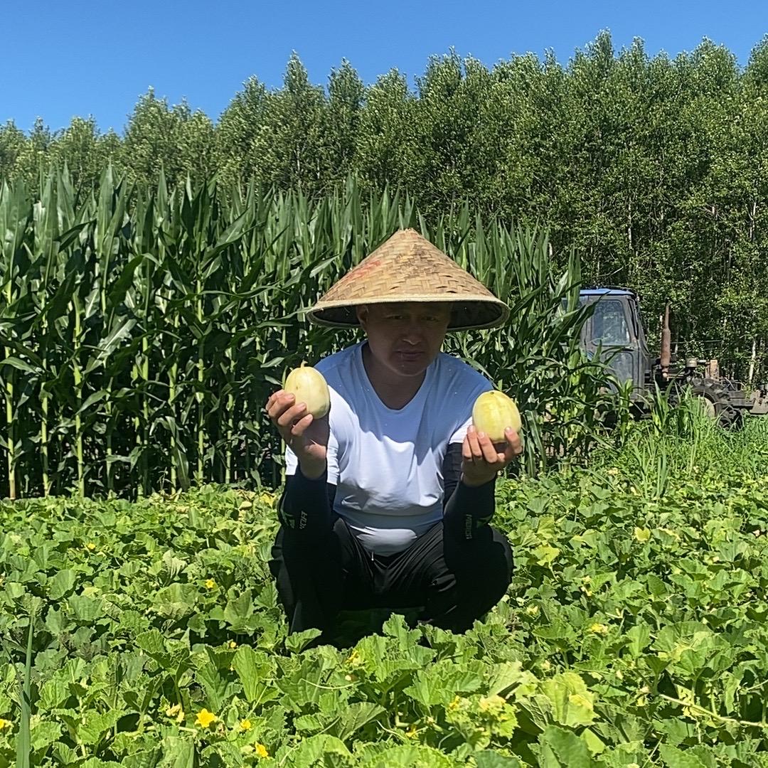 东北玺茗农产品