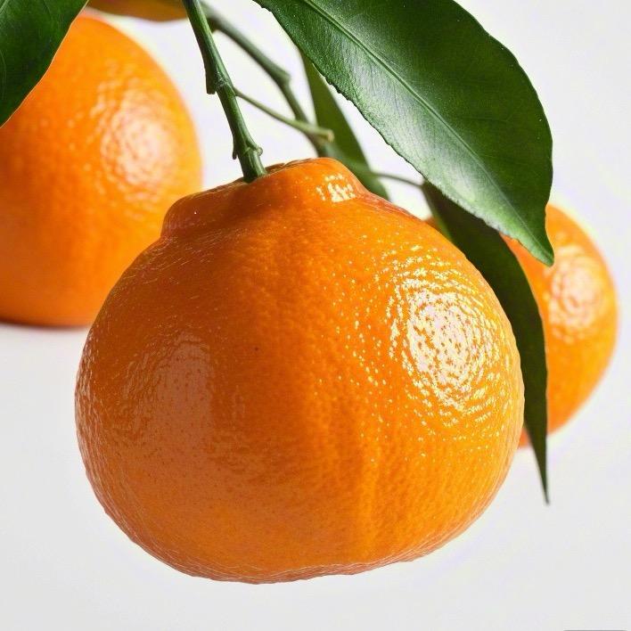 鲜果生鲜