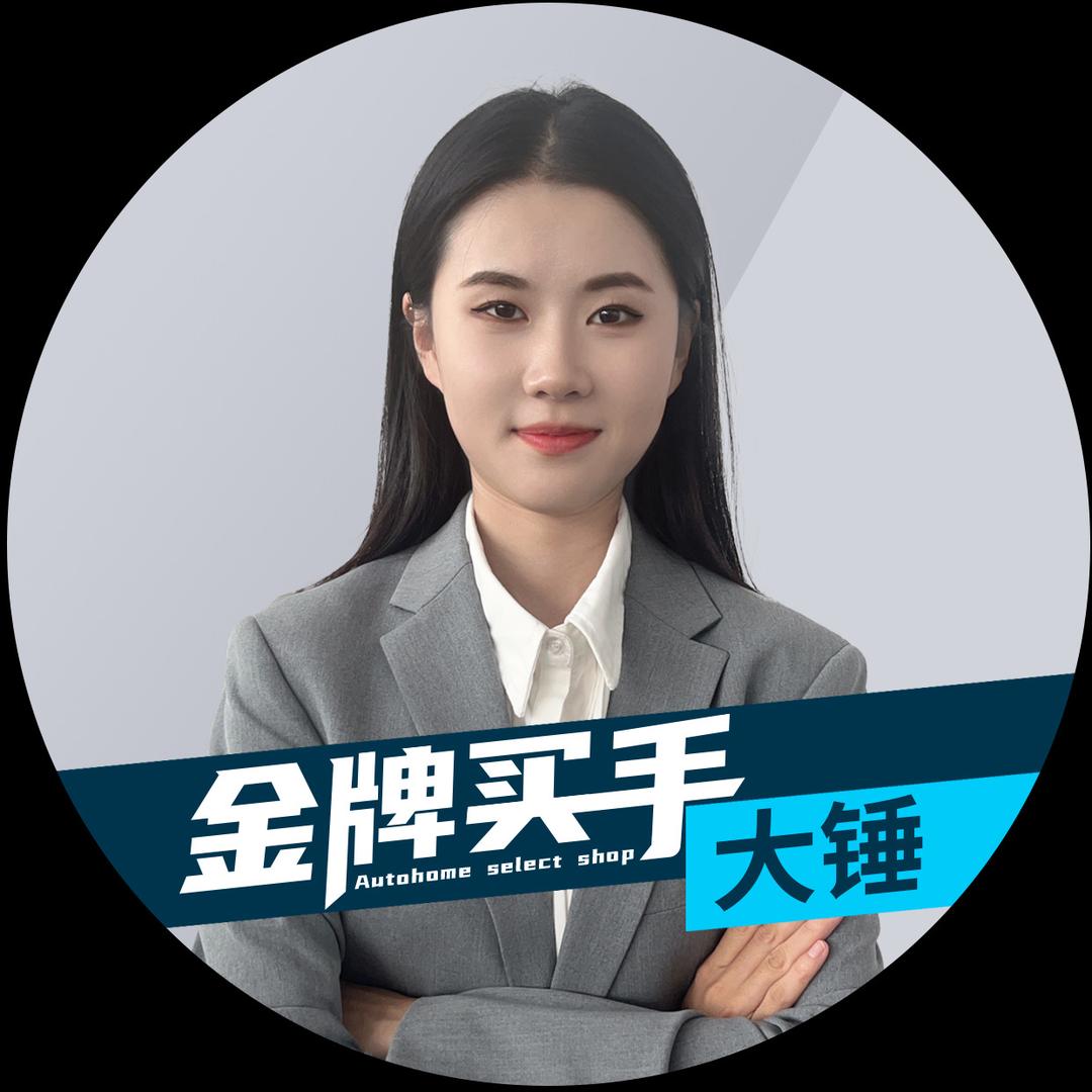 金牌买手（大锤～临沂超会买）