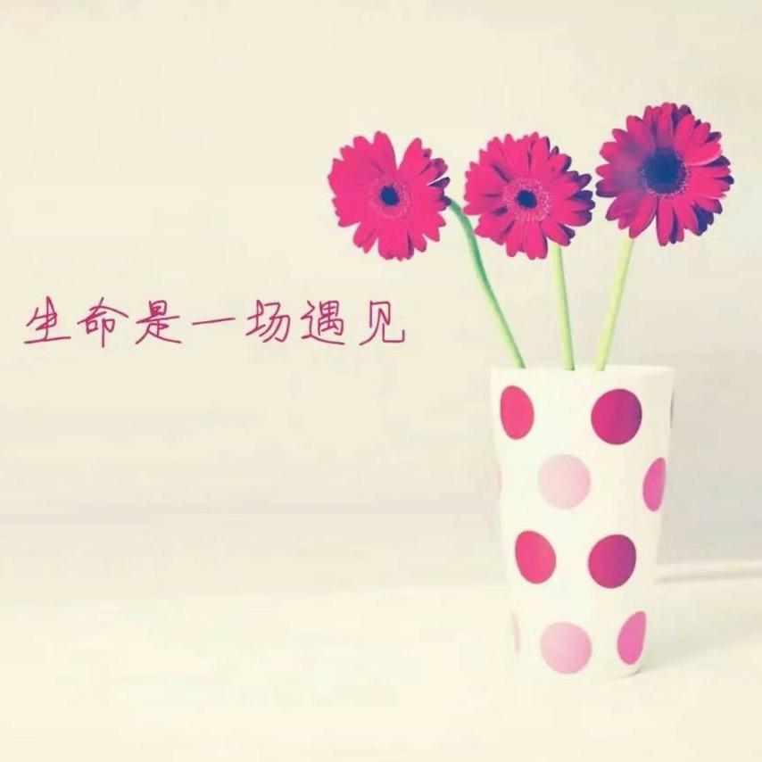 ღ小黑瓜✨