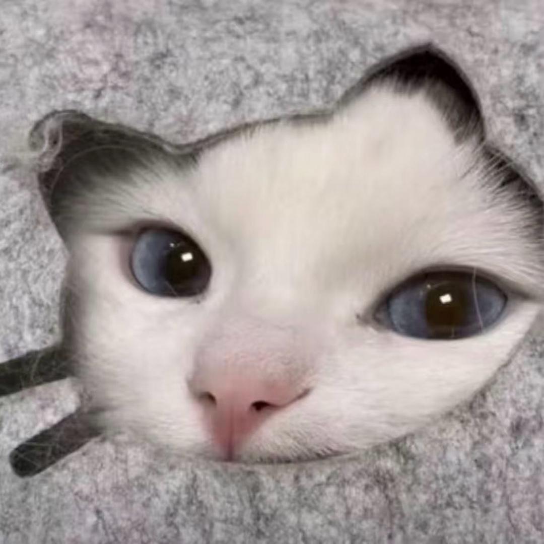 老婆在外做1绝望不吱声