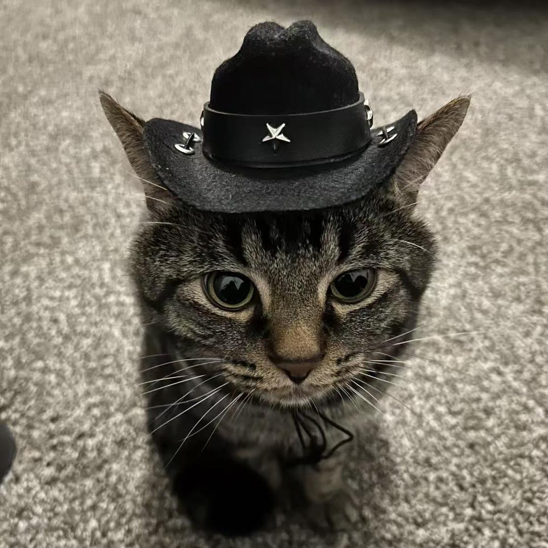 x.