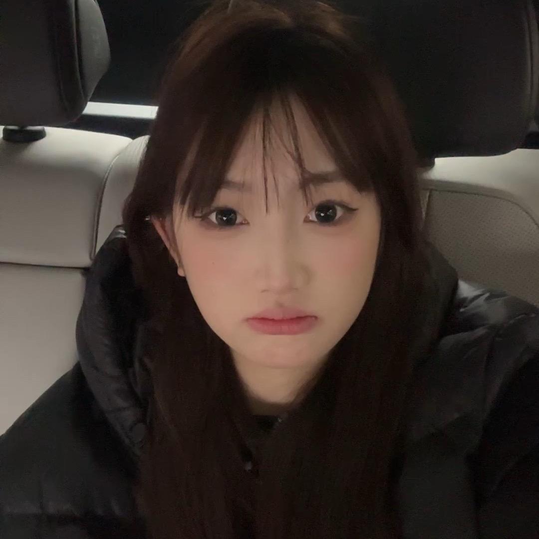 鸽桉🕊️