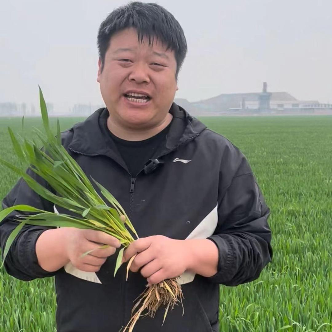 （山东小武子）临清市穗丰农资有限公司