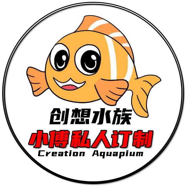 DIY创想水族