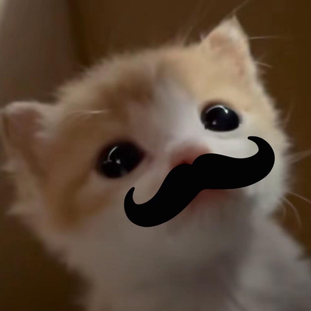 小绵猫