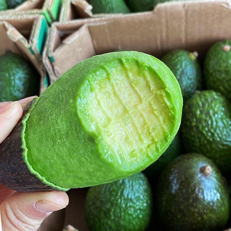 金盛牛油果供应链🥑
