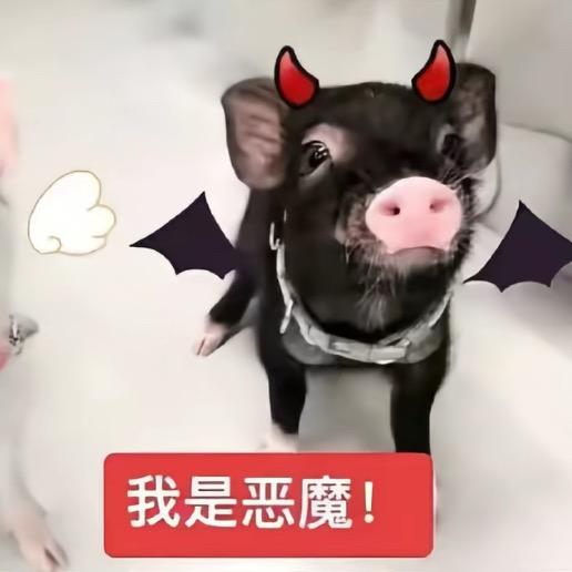 物质（求推荐