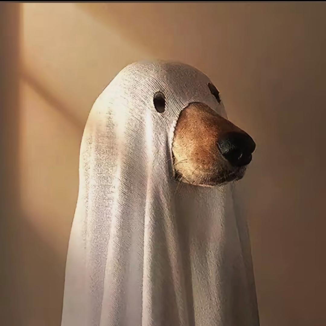 一杯冰美式⁷⁷