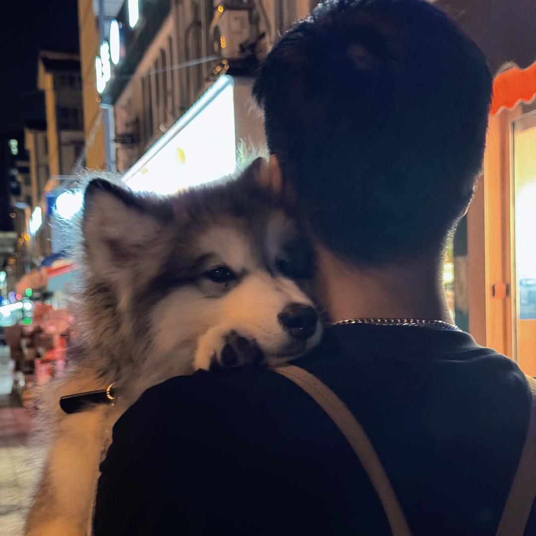 法拉瑞才是最屌的