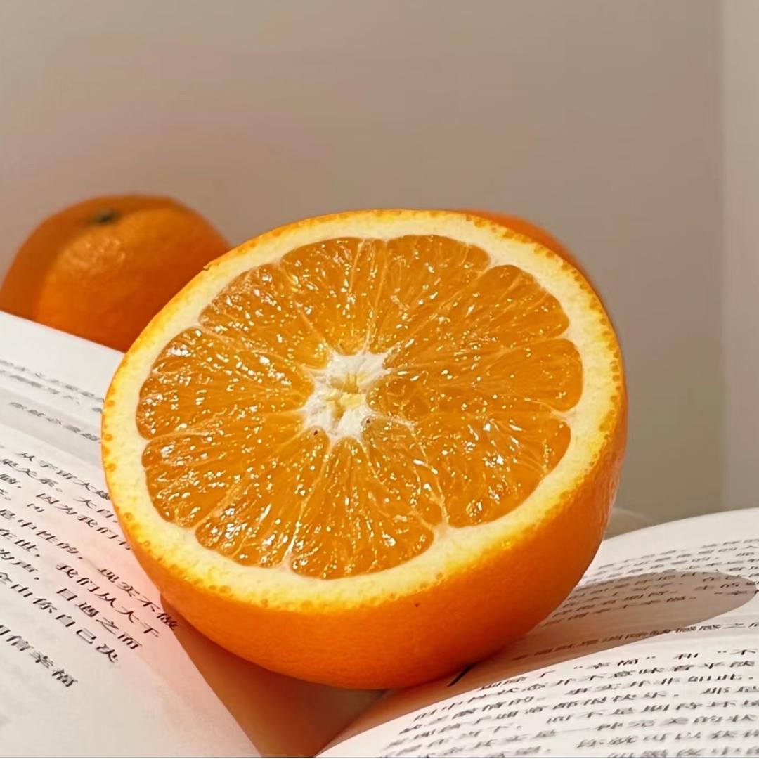 菩提