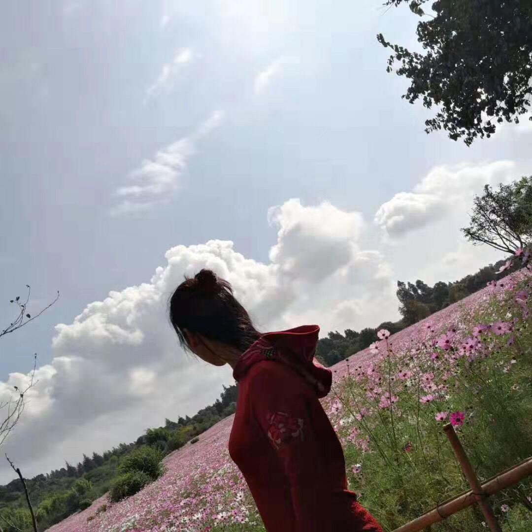 徐小桔高价值IP