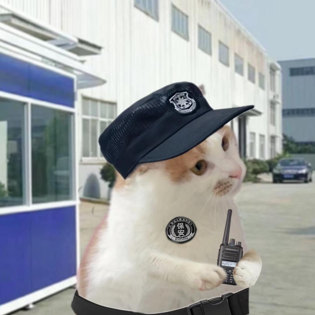 我是一名保安