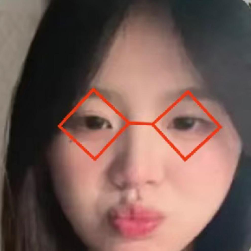 杨蛋的圈圈