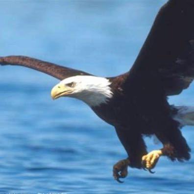 米阳裕程