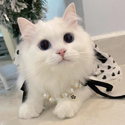 🍾ಇ᭄归宿࿐